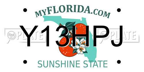 Y13HPJ Florida License Plate