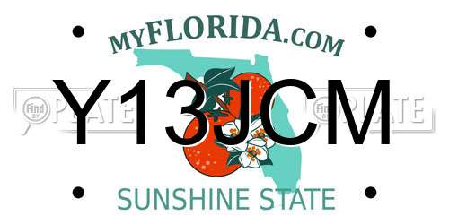 Y13JCM Florida License Plate