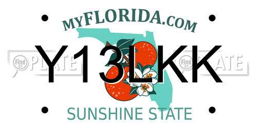 Y13LKK Florida License Plate