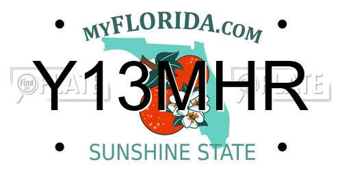 Y13MHR Florida License Plate