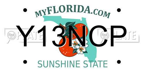 Y13NCP Florida License Plate