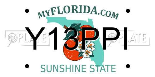 Y13PPI Florida License Plate