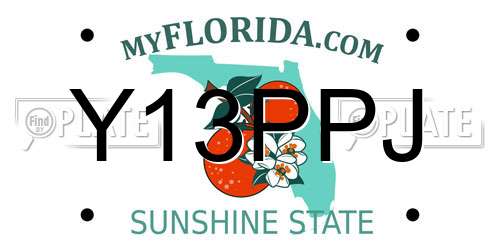Y13PPJ Florida License Plate