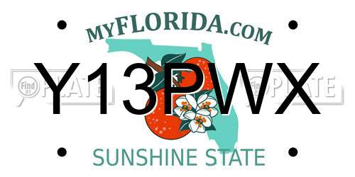 Y13PWX Florida License Plate
