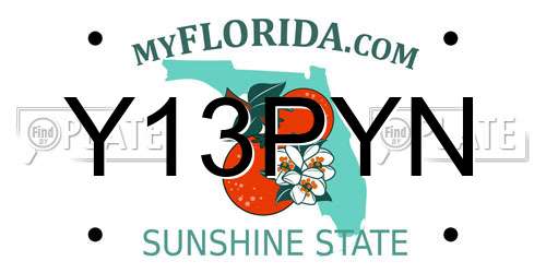 Y13PYN Florida License Plate