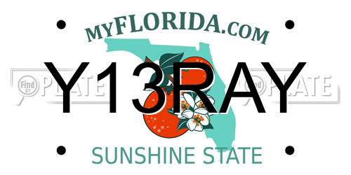 Y13RAY Florida License Plate