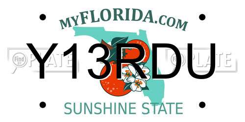 Y13RDU Florida License Plate