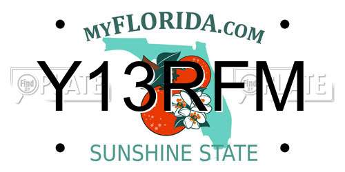 Y13RFM Florida License Plate