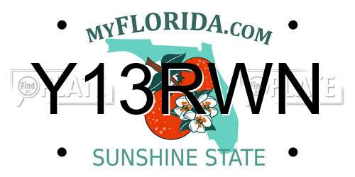 Y13RWN Florida License Plate
