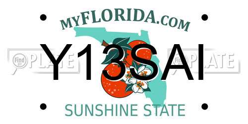 Y13SAI Florida License Plate