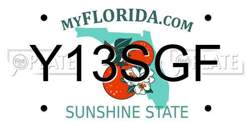 Y13SGF Florida License Plate