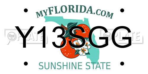Y13SGG Florida License Plate