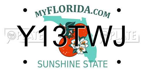 Y13TWJ Florida License Plate