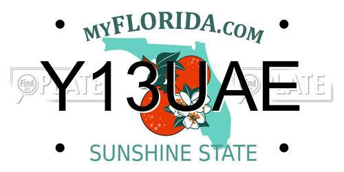 Y13UAE Florida License Plate