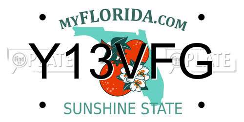 Y13VFG Florida License Plate