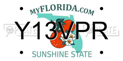 Y13VPR Florida License Plate