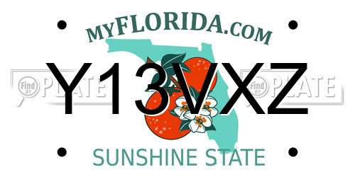 Y13VXZ Florida License Plate