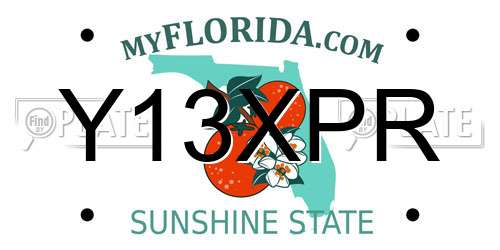 Y13XPR Florida License Plate