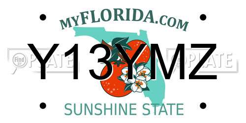 Y13YMZ Florida License Plate