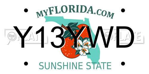 Y13YWD Florida License Plate