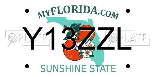 Y13ZZL Florida License Plate