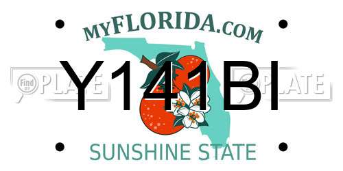 Y141BI Florida License Plate