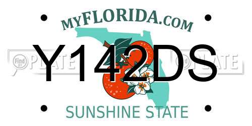 Y142DS Florida License Plate