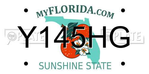 Y145HG Florida License Plate