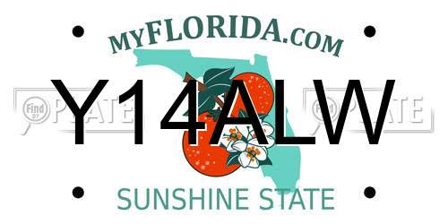 Y14ALW Florida License Plate