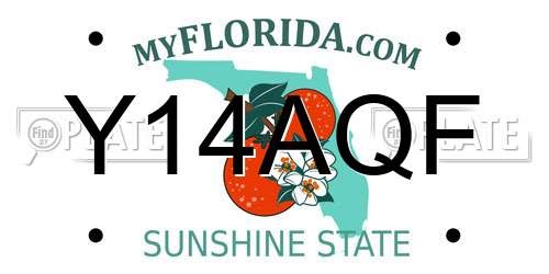 Y14AQF Florida License Plate