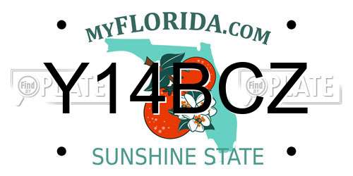 Y14BCZ Florida License Plate