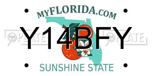 Y14BFY Florida License Plate
