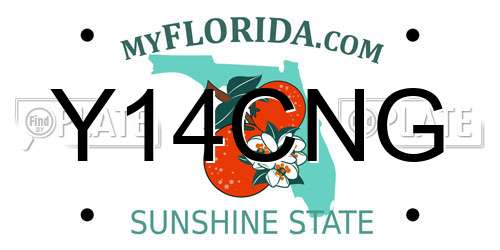Y14CNG Florida License Plate