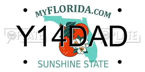 Y14DAD Florida License Plate