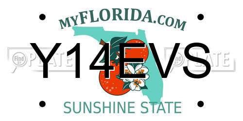 Y14EVS Florida License Plate