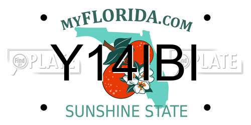 Y14IBI Florida License Plate
