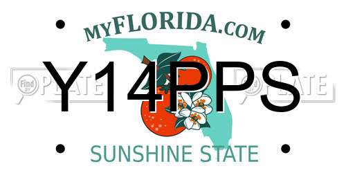 Y14PPS Florida License Plate