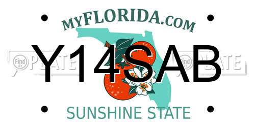 Y14SAB Florida License Plate