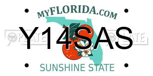 Y14SAS Florida License Plate