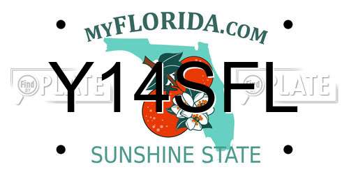 Y14SFL Florida License Plate