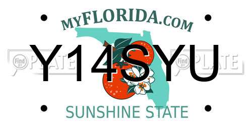 Y14SYU Florida License Plate