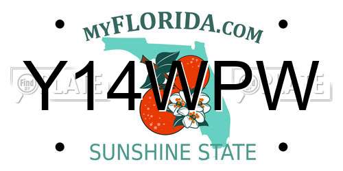 Y14WPW Florida License Plate