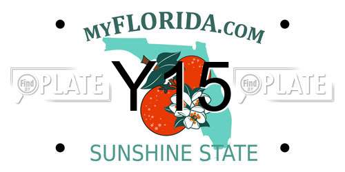 Y15 Florida License Plate