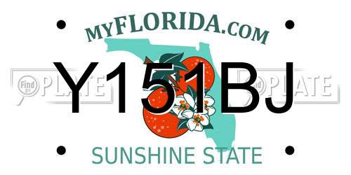 Y151BJ Florida License Plate