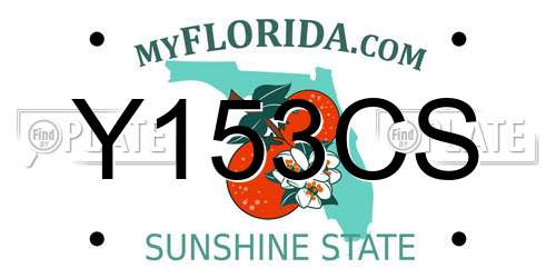 Y153CS Florida License Plate