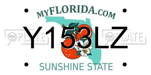 Y153LZ Florida License Plate
