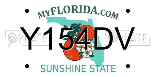 Y154DV Florida License Plate