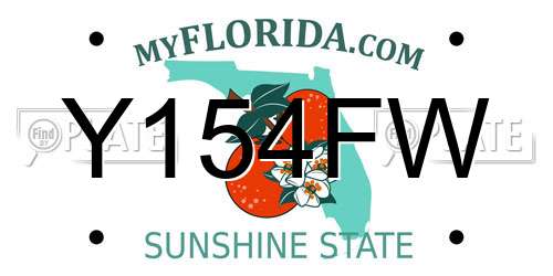 Y154FW Florida License Plate