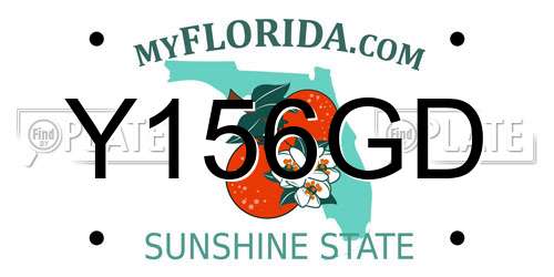 Y156GD Florida License Plate