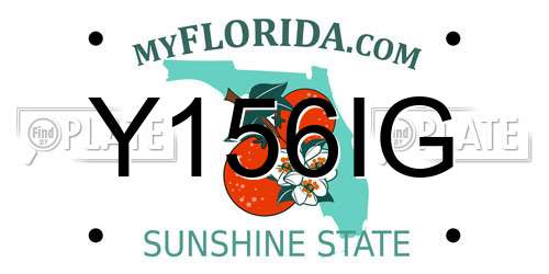 Y156IG Florida License Plate